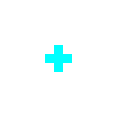 foxy9 crosshair