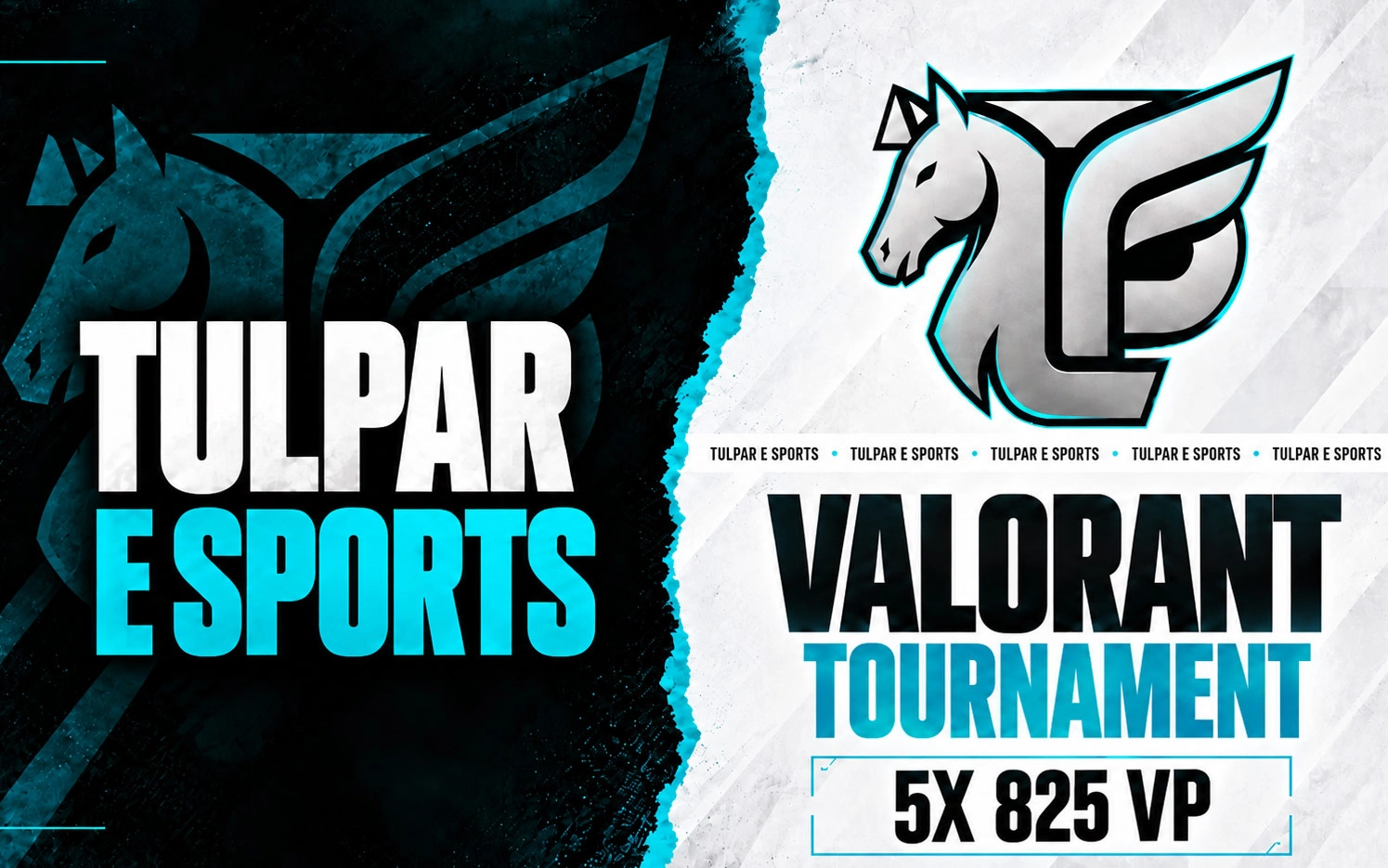 Tulpar E-sports Community Tournament